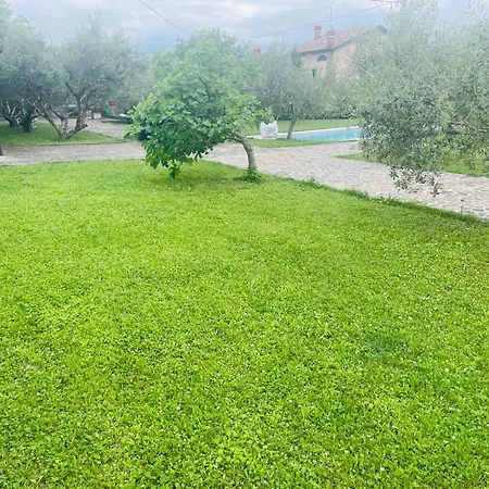 Vila Paradise With Swimming Pool